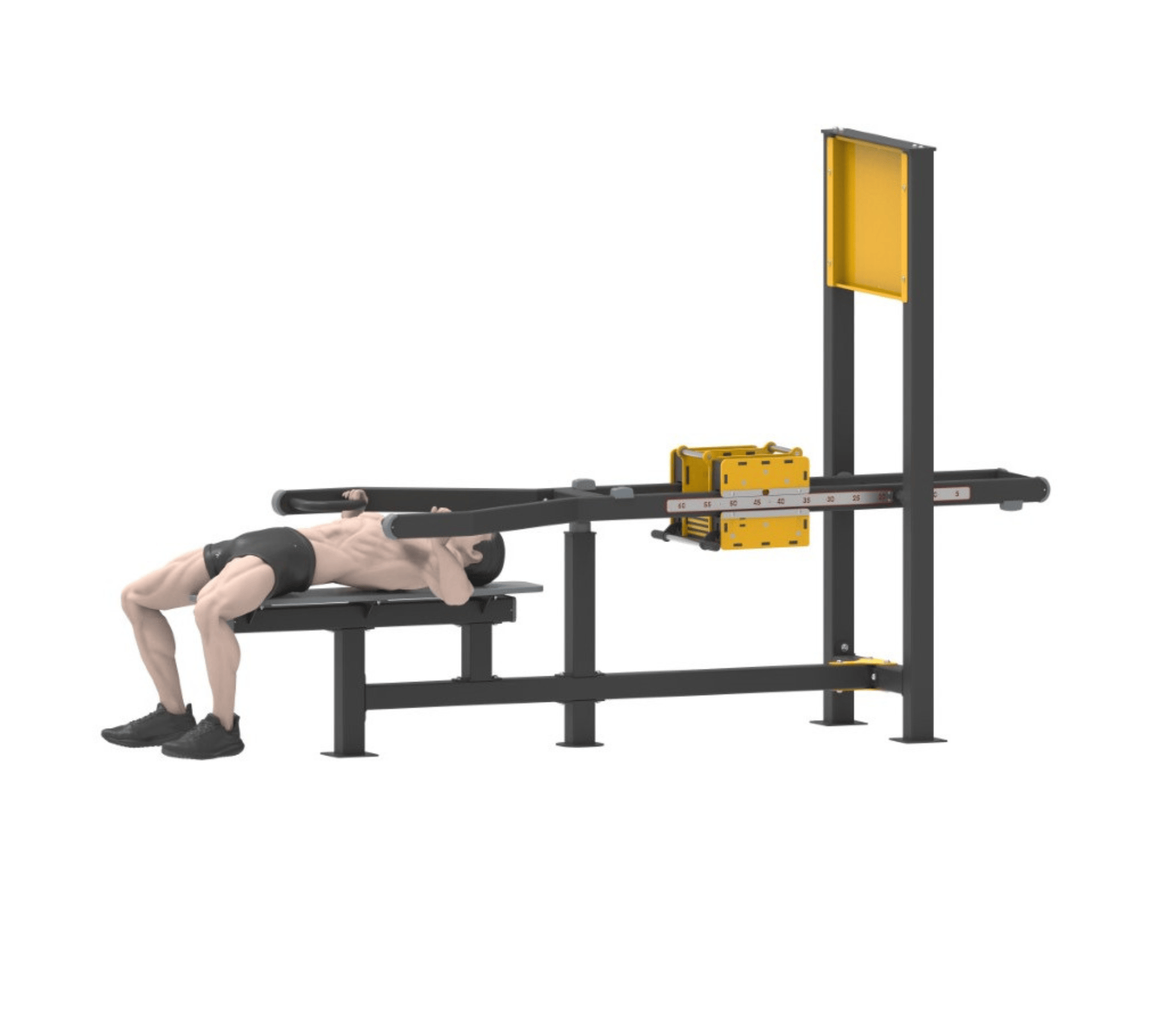 Bench Press