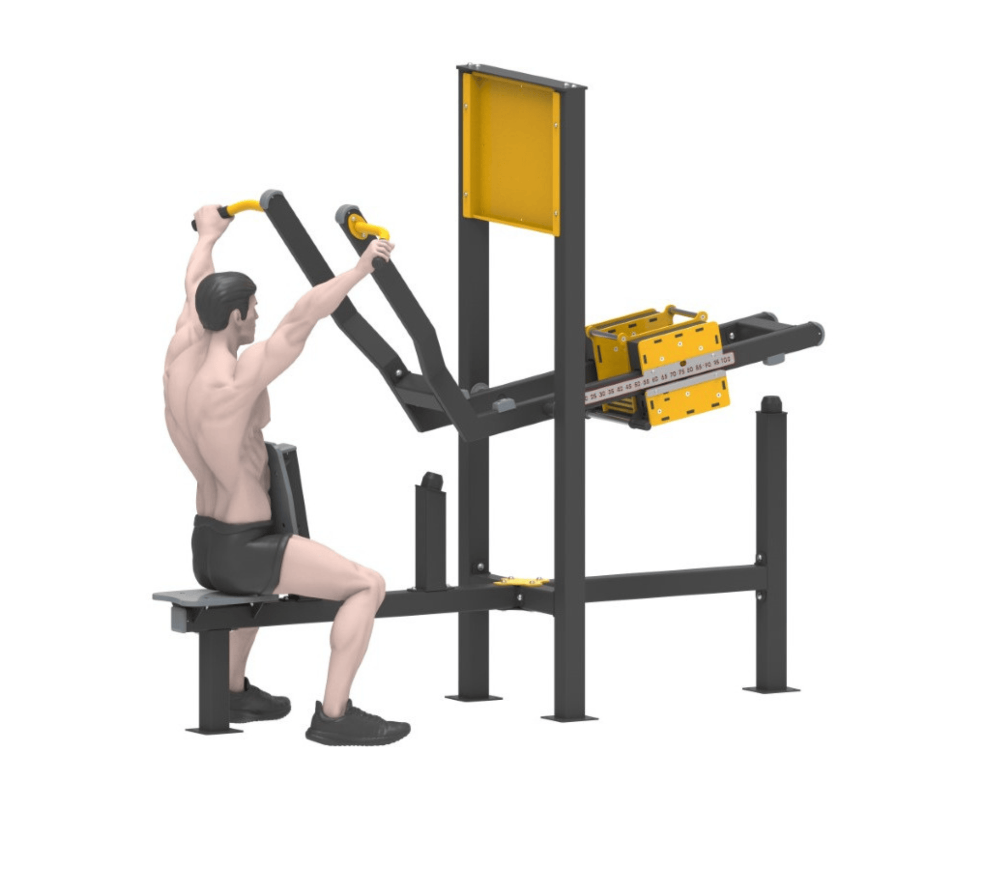 Lat Pulldown